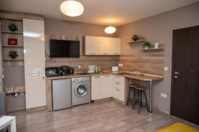 All Seasons Apartments Iglika 2